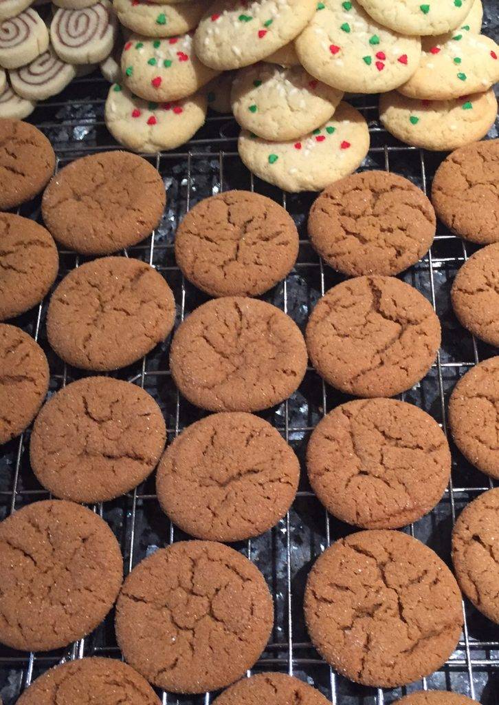 molasses cookies for Christmas