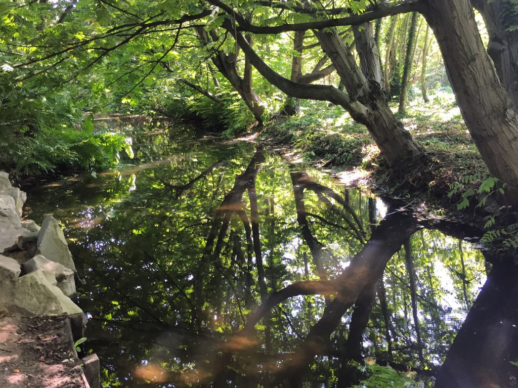 shaded stream in Bois de Vincennes