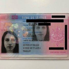 How I Got the Carte de séjour “vie privée et familiale” Through Marriage How I Got the Carte de séjour “vie privée et familiale” Through Marriage