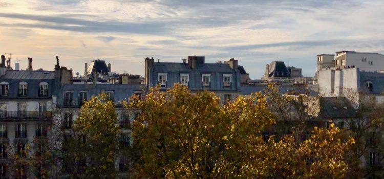 Paris roofs and skyline during sunset, pretty pastel colors