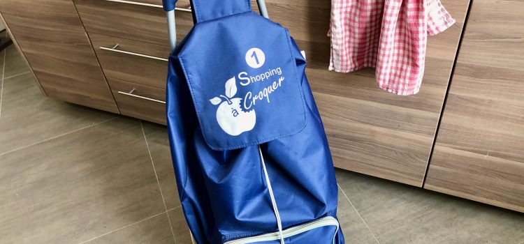 blue rolling shopping caddy