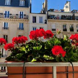 What to Consider When Apartment Hunting in Paris What to Consider When Apartment Hunting in Paris