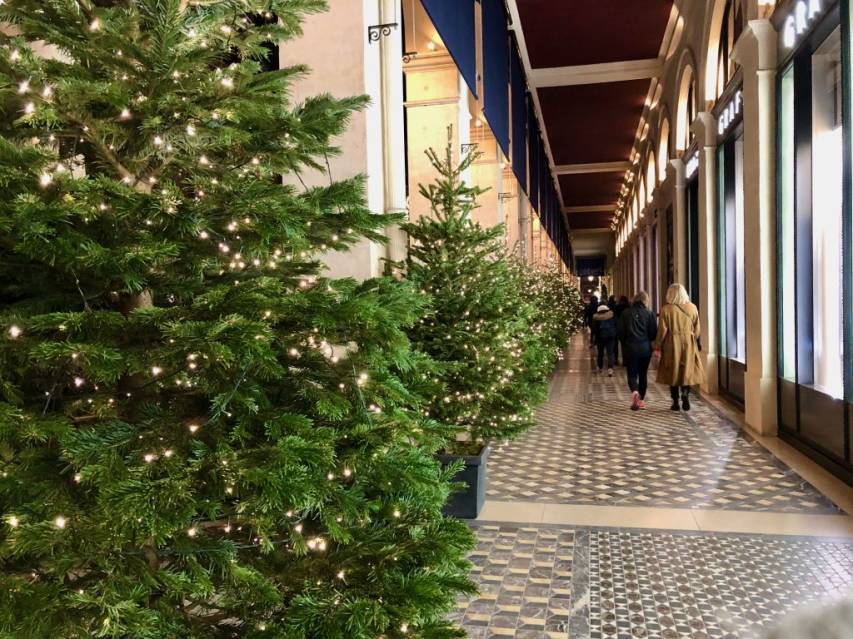line of Christmas trees with white lights under a covered passage on Rue de Castiglione in Paris