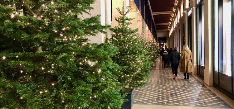 line of Christmas trees with white lights under a covered passage on Rue de Castiglione in Paris