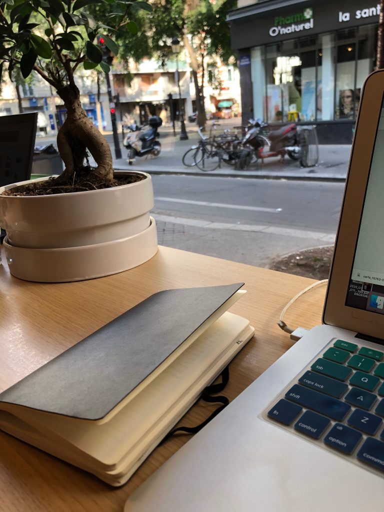 plant, notebook, and computer laptop on a wood counter positioned to look out the window