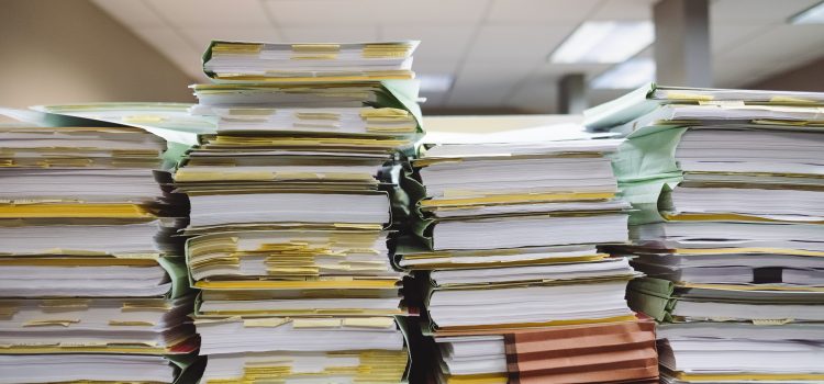 stacks of papers in folders lined up in a row