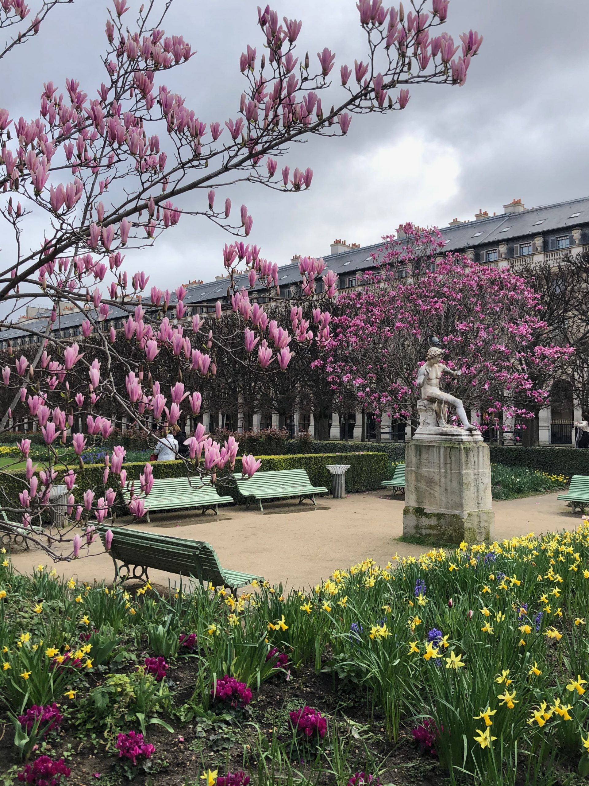 Where to Find Magnolias in Paris