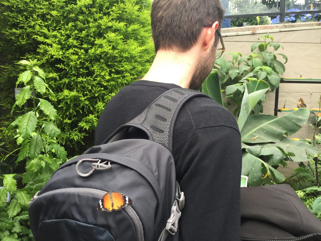 man turned away from the camera with a backpack and a butterfly sitting on the backpack