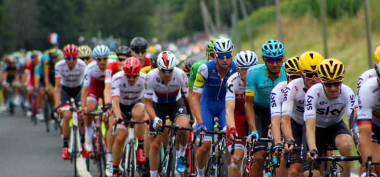 Tour de France peloton cyclists