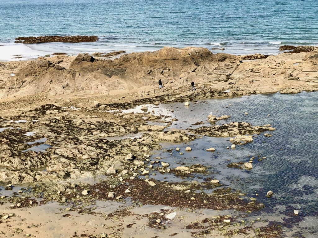 rocks and pools emerging during low tide on the beach in Saint-Malo