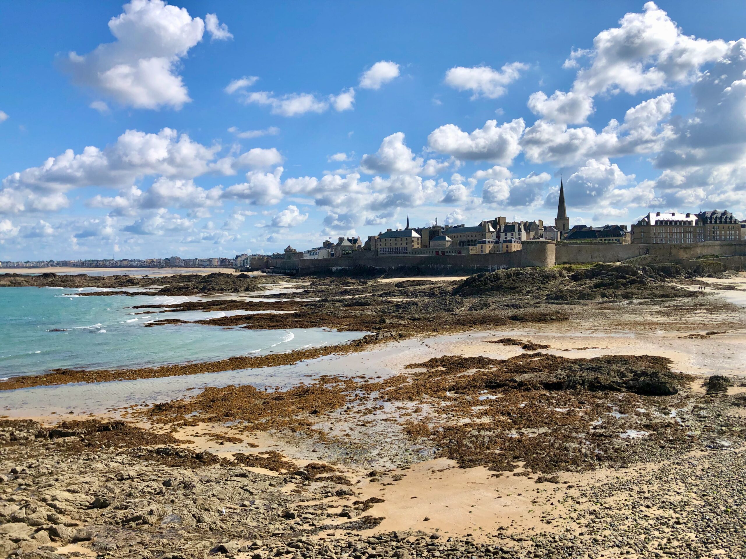 view of Saint-Malo from Grand Bé (Saint-Malo)
