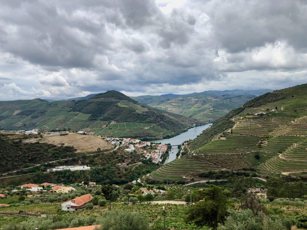 amazing view of Douro valley vineyards built into the hills during a wine tour in the summer