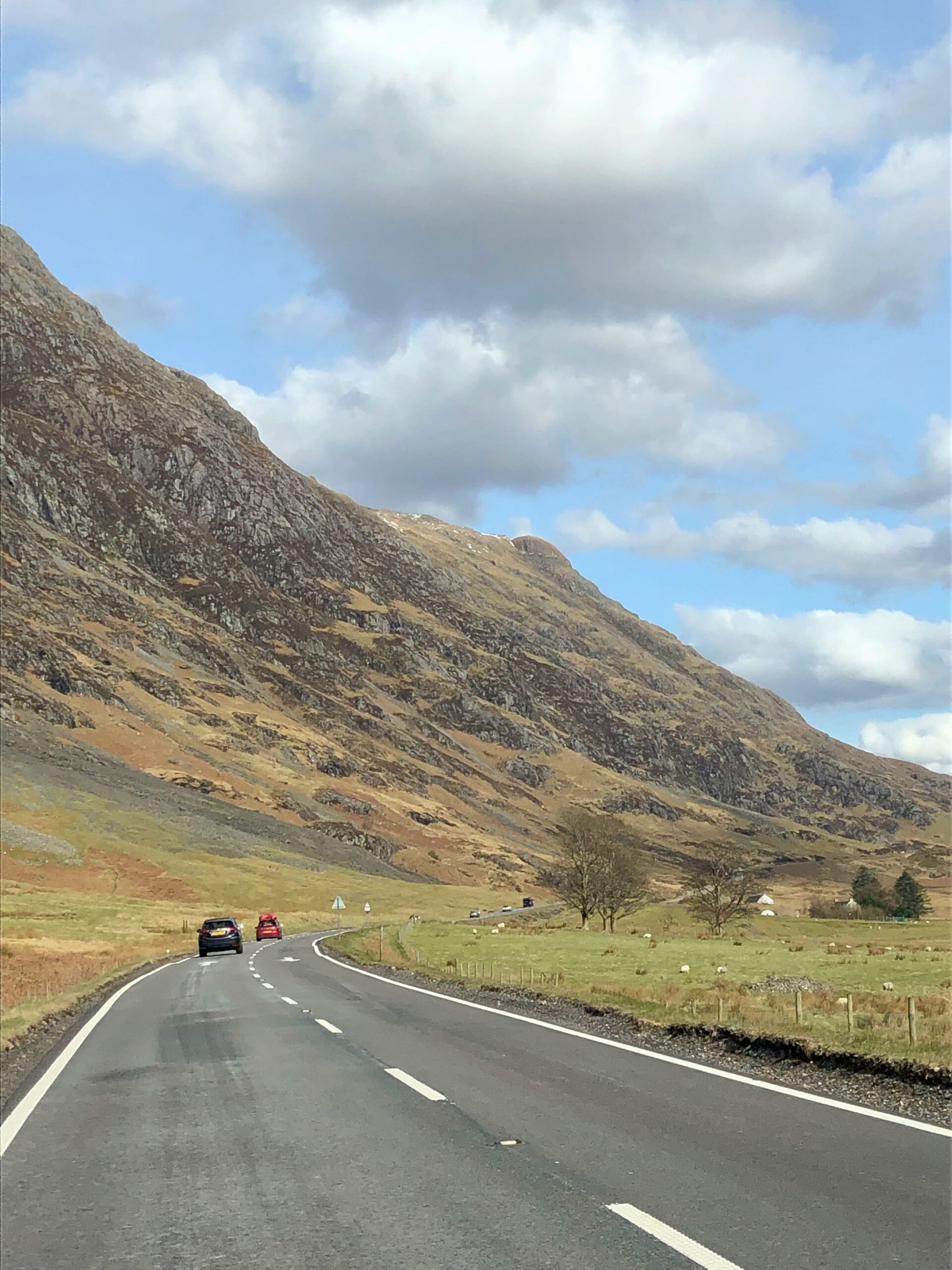 Gain the Confidence to Drive Anywhere With Tripiamo
