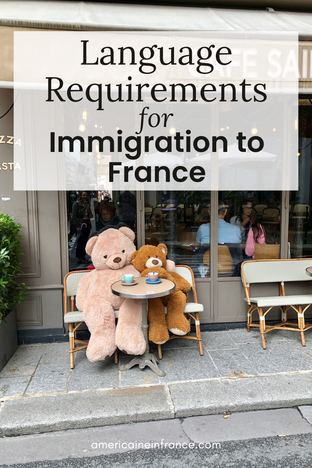 Language Requirements for Immigration to France