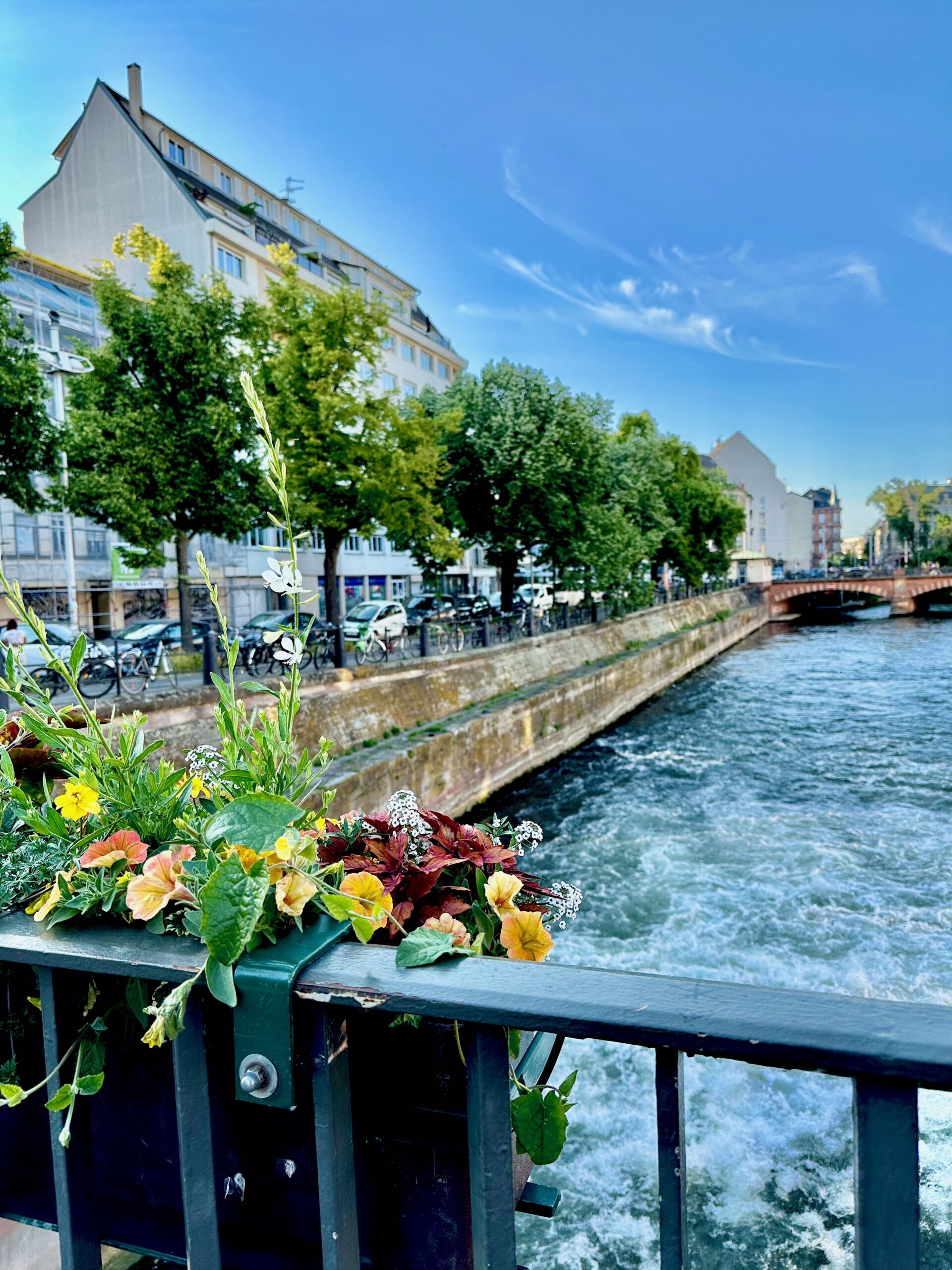 15 Things You Can Do in France That You Can’t Do in the United States